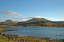 1 Seals in Dunvegan Isle of Skye  35